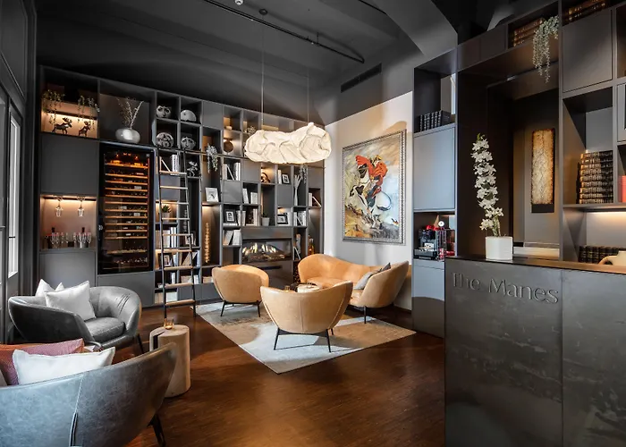 The Manes Boutique Hotel Praag
